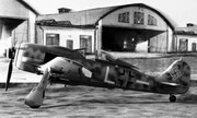 Focke-Wulf Fw 190F-8 1:24
