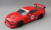 Ford Mustang GT4 1:25
