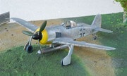 Focke-Wulf Fw 190F-8/R14 1:72