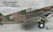 Curtiss P-40E Warhawk 1:72