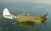 Curtiss P-40N Warhawk 1:48