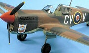 Curtiss P-40F Kittyhawk Mk.II 1:48