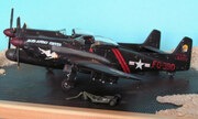 North American F-82G Twin Mustang 1:48