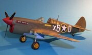 Curtiss P-40F Warhawk 1:48