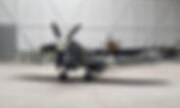 Supermarine Spitfire XIV 1:48
