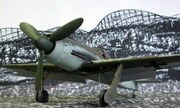 Focke-Wulf Fw 190D-13 1:24