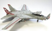 Grumman F-14 Tomcat 1:48