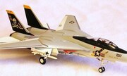 Grumman F-14A Tomcat 1:100
