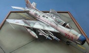 Mikoyan-Gurevich MiG-19PM Farmer-E 1:48