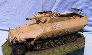 Sd.Kfz. 251/9 Ausf. D Stummel (late) 1:35