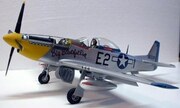 North American P-51D Mustang 1:24