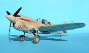 Curtiss P-40N Warhawk 1:32