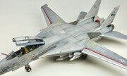 Grumman F-14D Tomcat 1:32