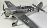 Focke-Wulf Fw 190A-5 1:24
