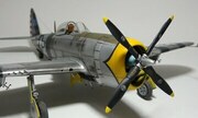 Republic P-47D Thunderbolt 1:48