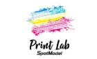Print Lab Decals Logo