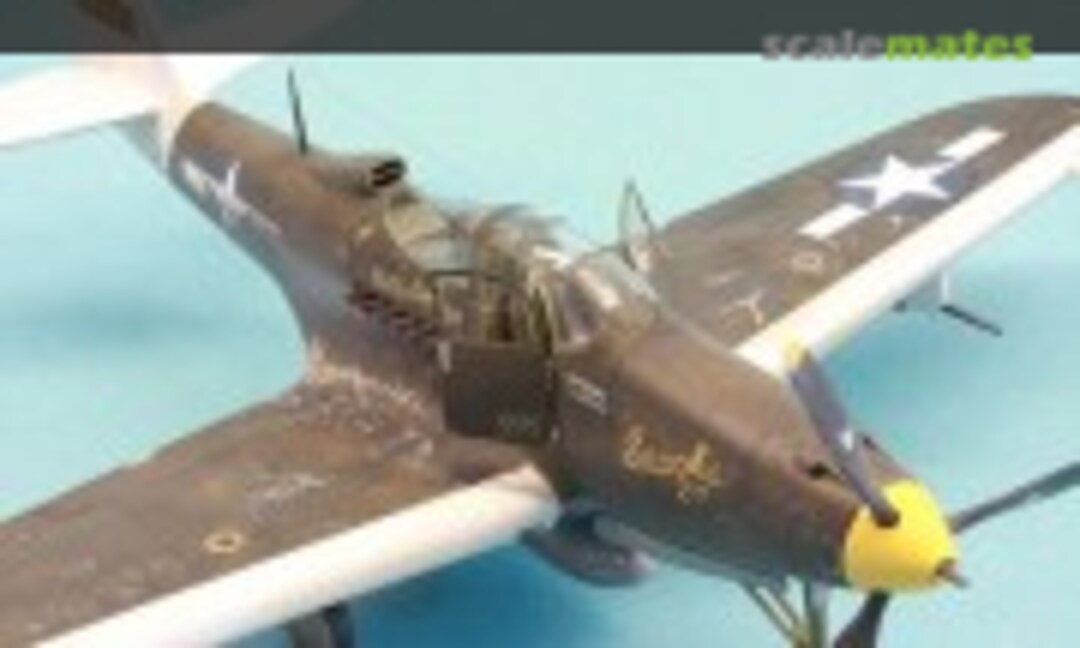 Bell P-39Q Airacobra 1:48