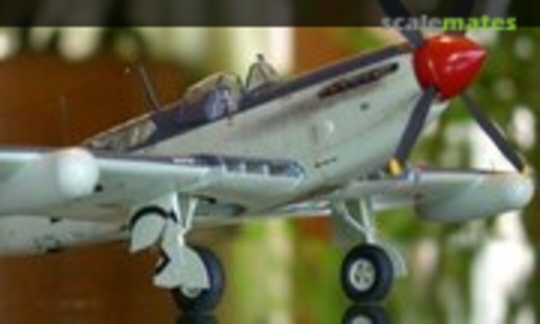 Fairey Firefly AS Mk.6 1:48