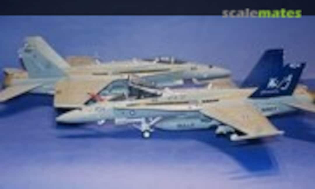 McDonnell Douglas F-18C Hornet 1:48