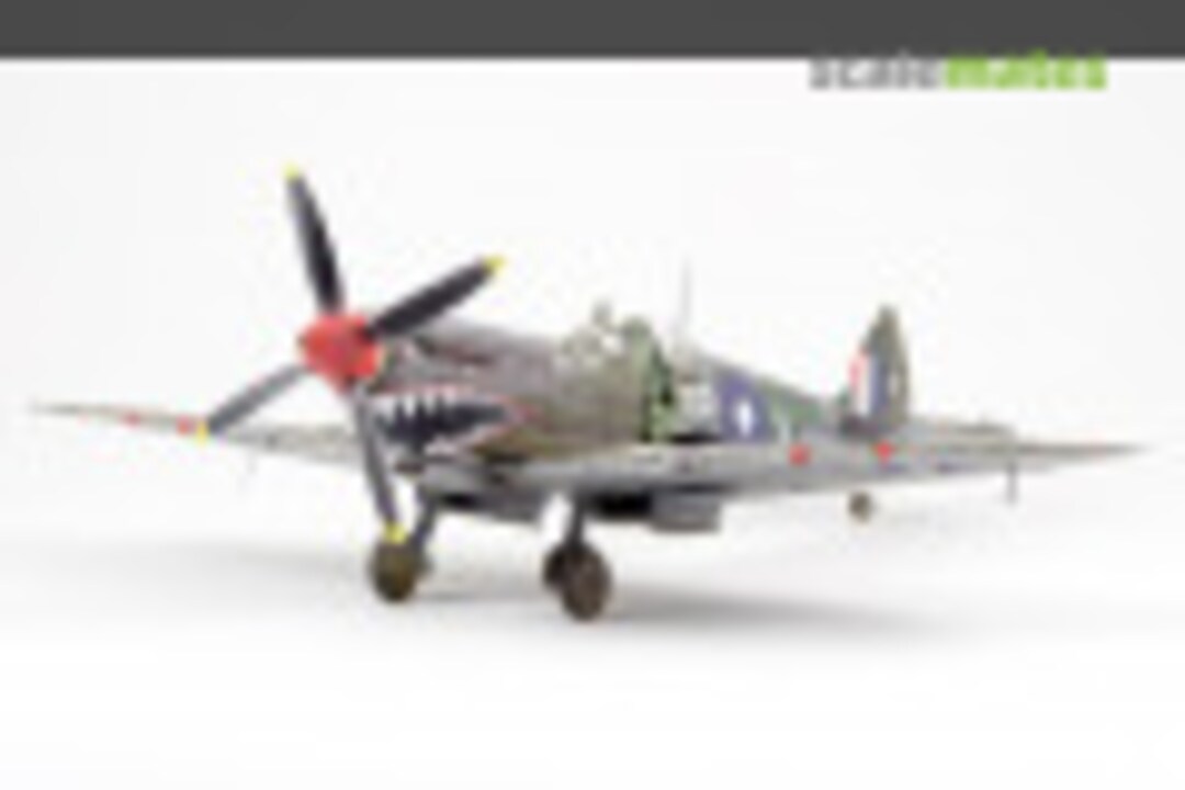 Supermarine Spitfire Mk.VIII 1:48