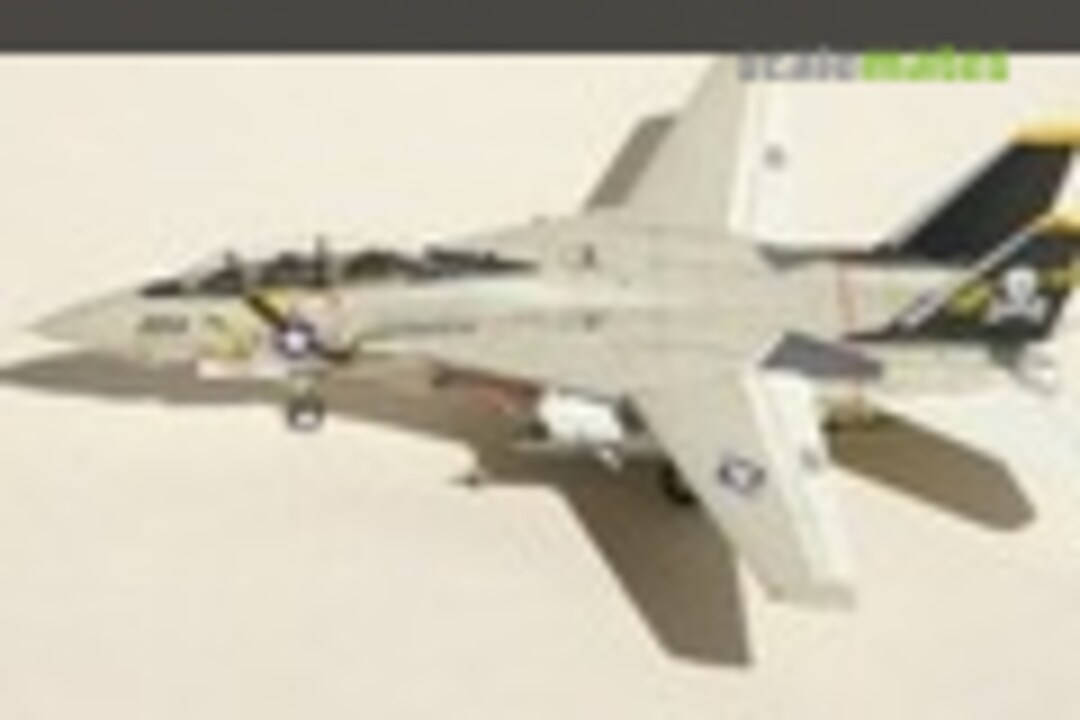 Grumman F-14A Tomcat 1:144