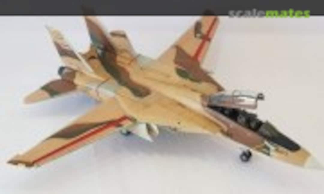 Grumman F-14 Tomcat 1:72