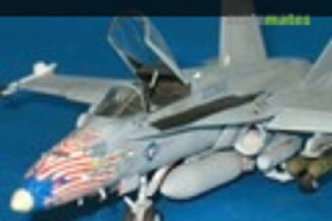 McDonnell Douglas F/A-18C Hornet 1:72