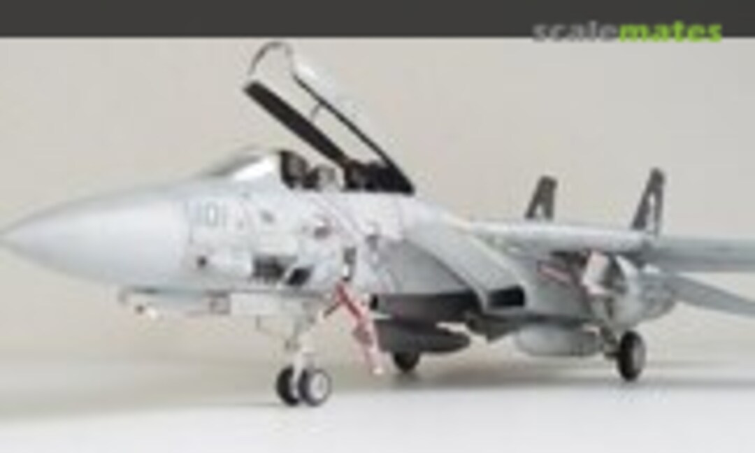 Grumman F-14B Tomcat 1:48