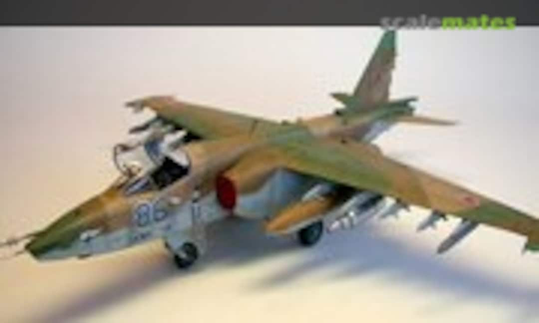 Sukhoi Su-25A Frogfoot 1:48