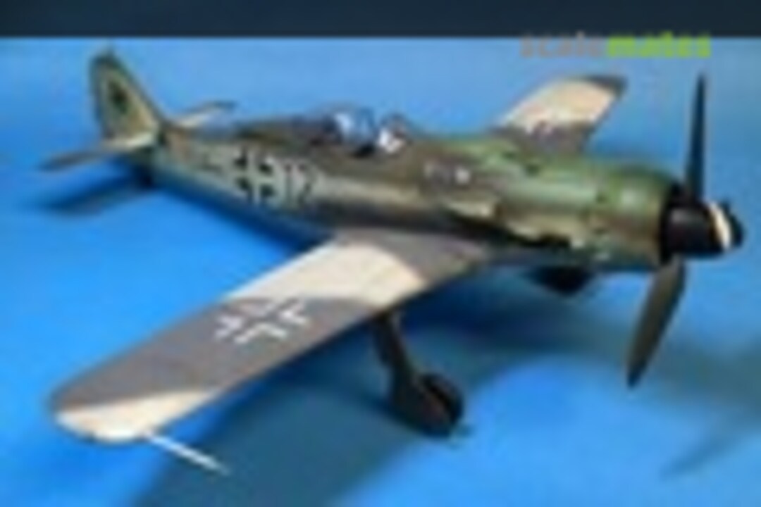 Focke-Wulf Fw 190D-9 1:48
