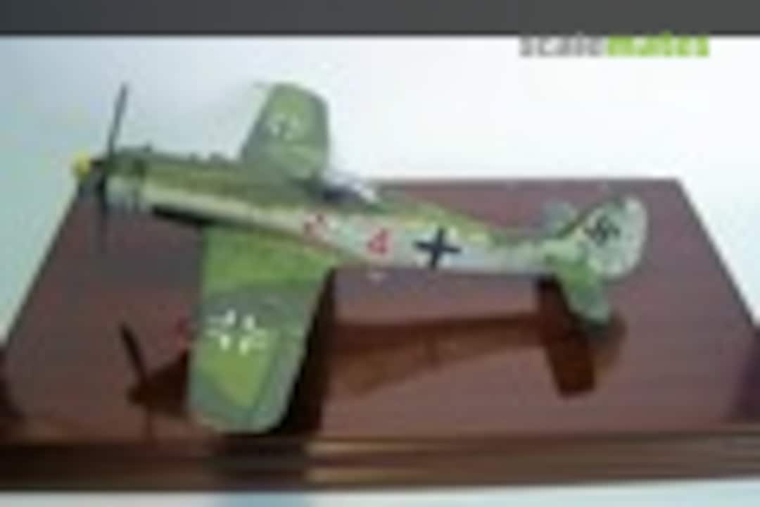 Focke-Wulf Fw 190D-11 1:48