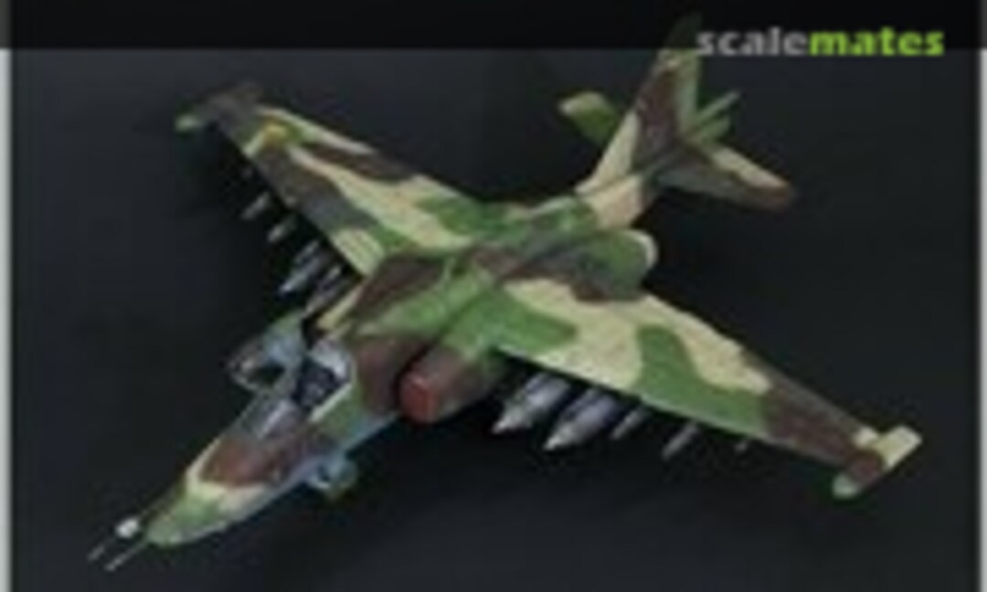 Sukhoi Su-25 Frogfoot 1:48