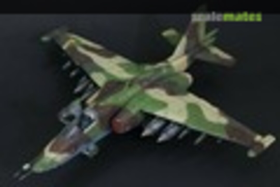 Sukhoi Su-25 Frogfoot 1:48