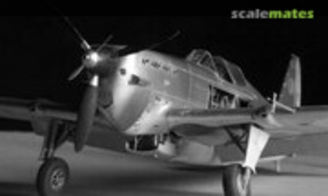 Morane-Saulnier MS 406C1 1:32