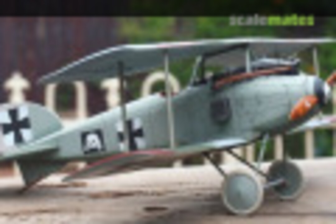 Albatros D.I 1:32