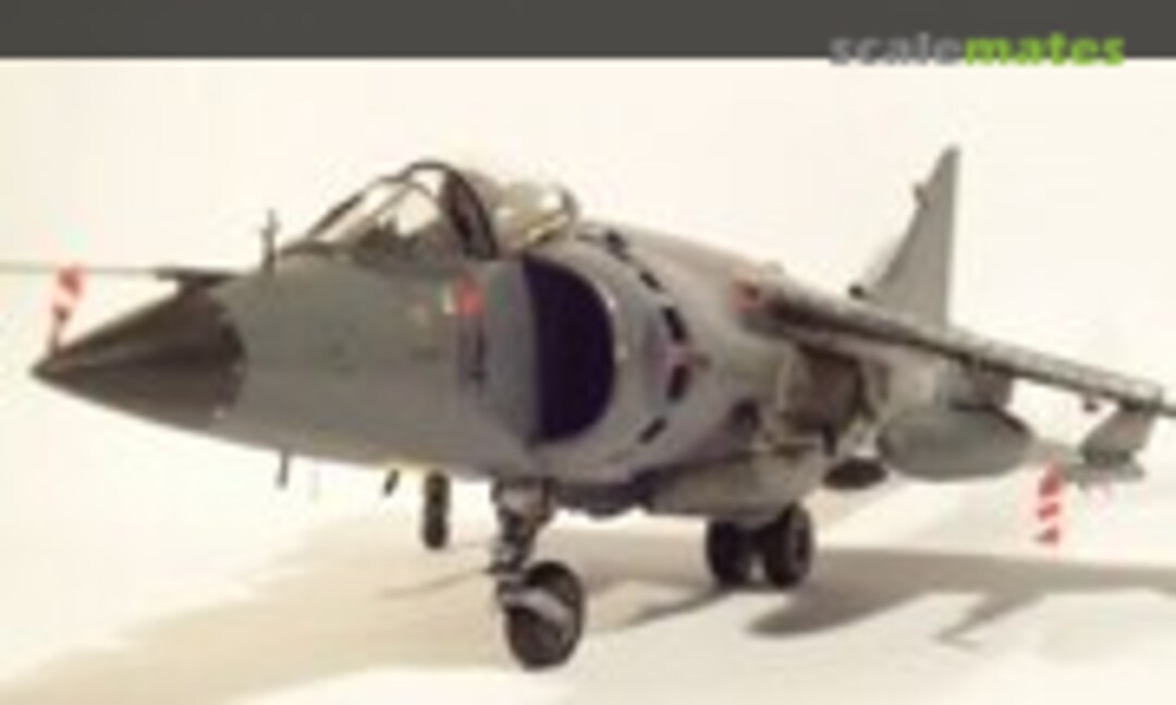 Hawker Sea Harrier FRS.1 1:48