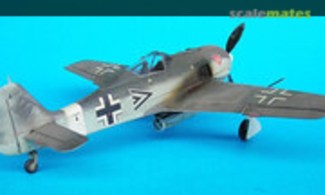 Focke-Wulf Fw 190F-1 1:48
