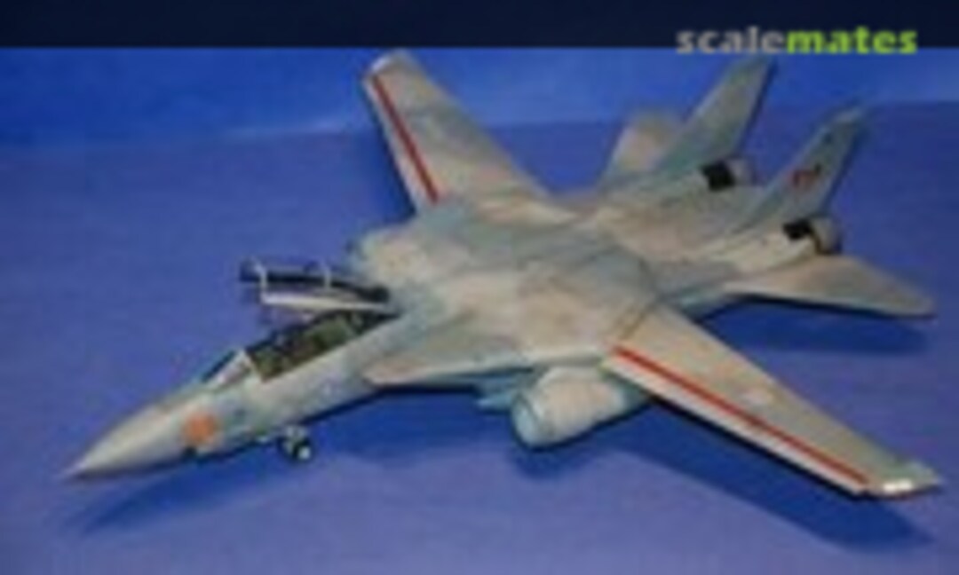CF-14G Tomcat 1:48