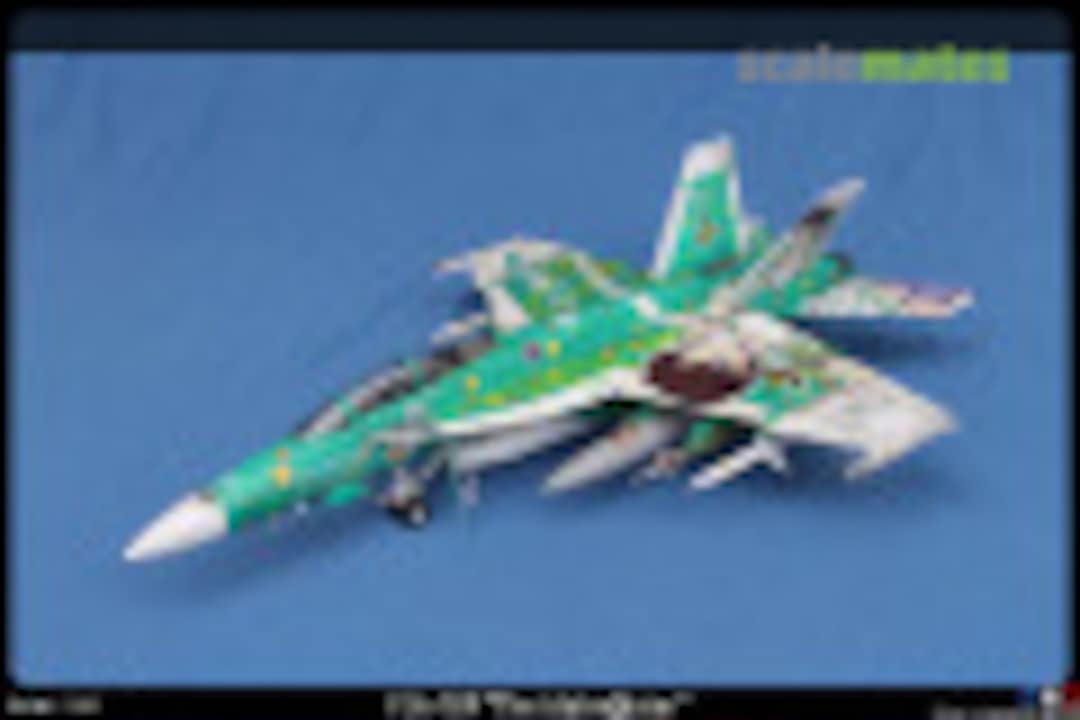 THE iDOLM@STER F/A-18F 1:48
