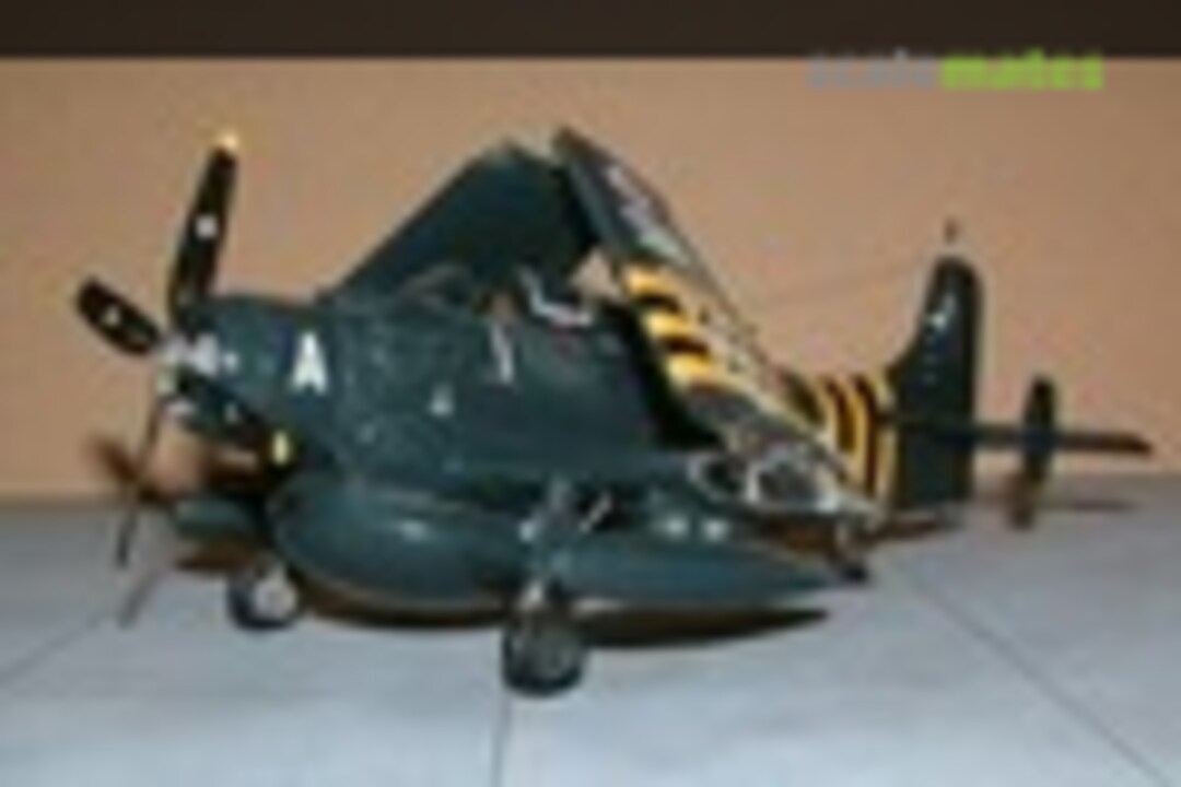 Douglas A-1 Skyraider AEW.4 1:48