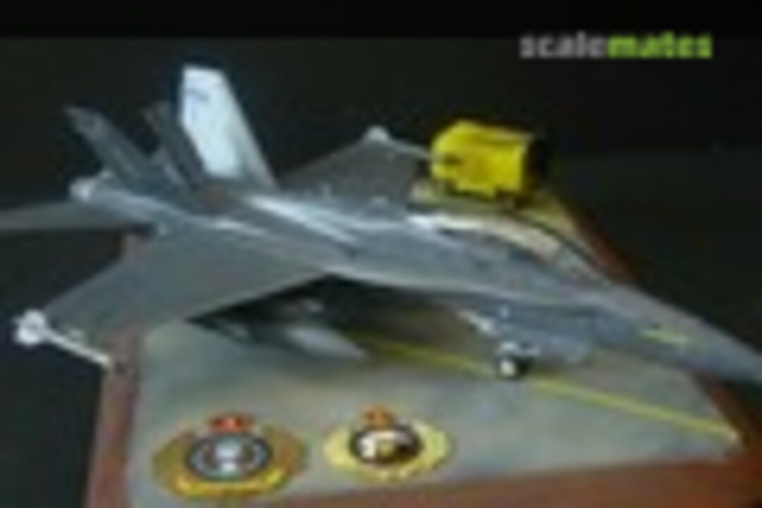 McDonnell Douglas F/A-18D Hornet 1:72