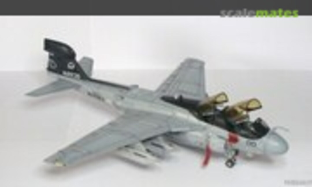 Grumman EA-6B Prowler 1:72