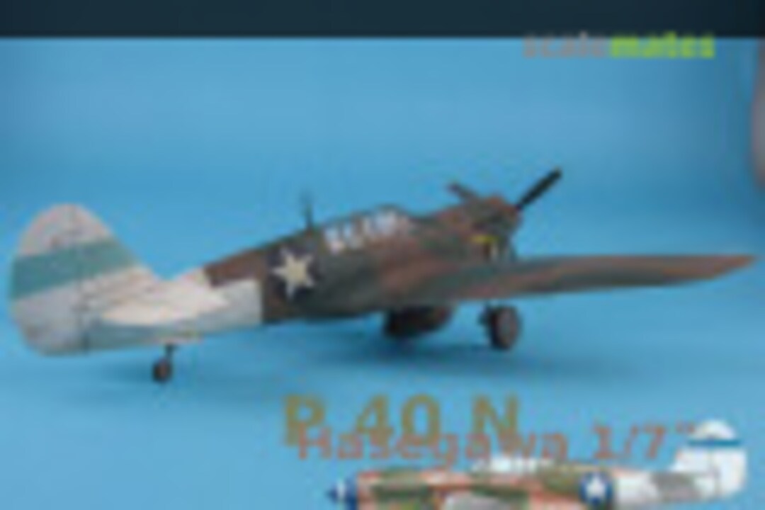 P40N 1:72