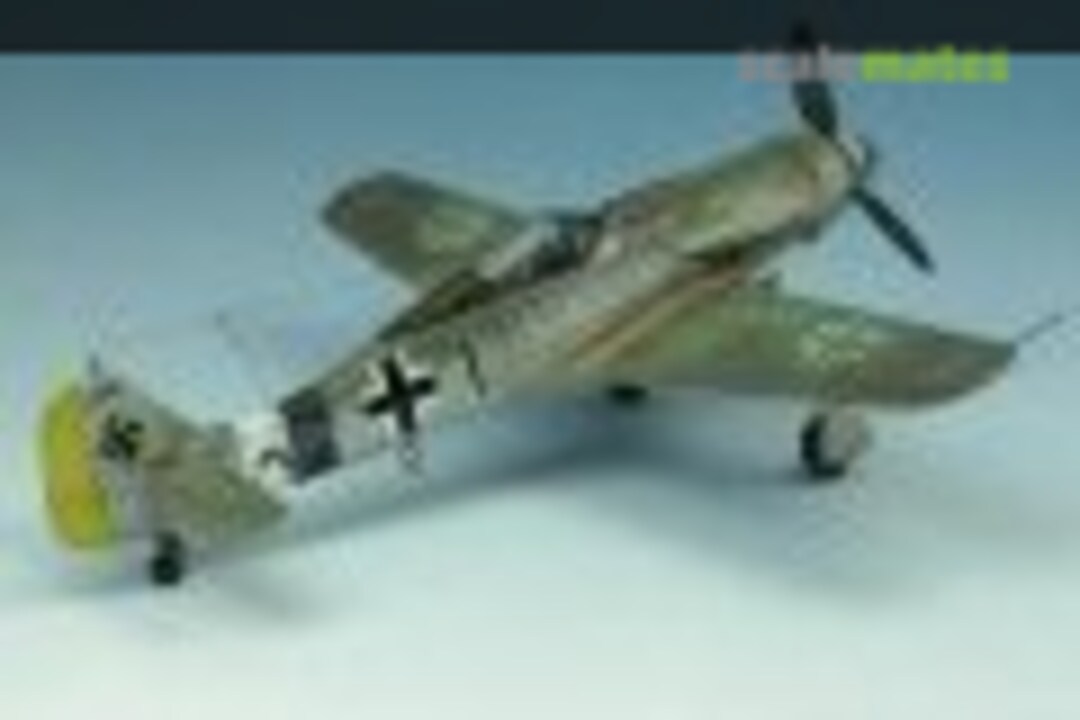 Focke-Wulf Fw 190D-9 1:144