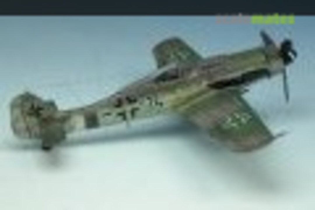 Focke-Wulf Fw 190D-9 1:144