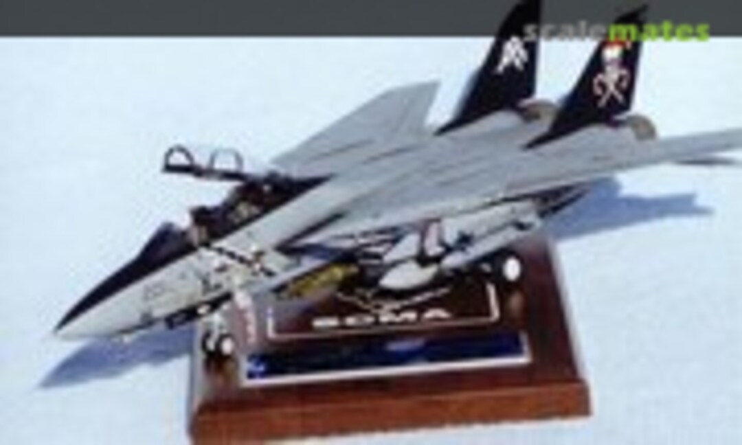 Grumman F-14B Tomcat 1:48