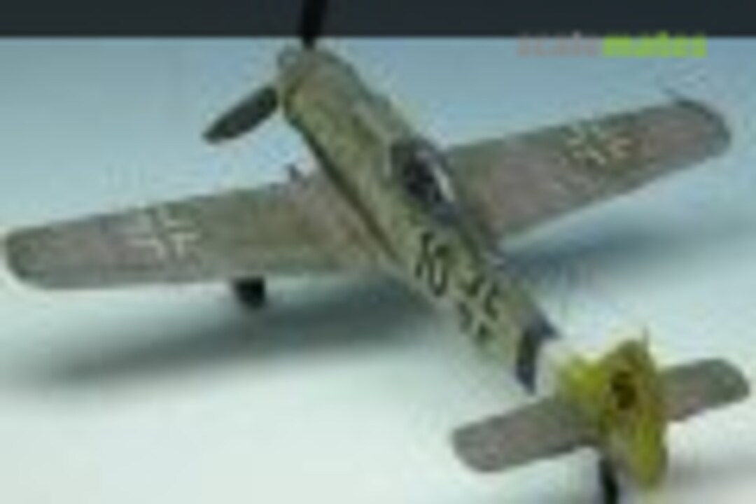 Focke-Wulf Fw 190D-9 1:144