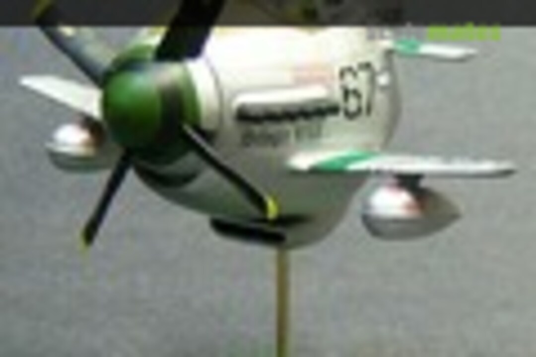 North American P-51 Mustang Egg Plane 1:Egg
