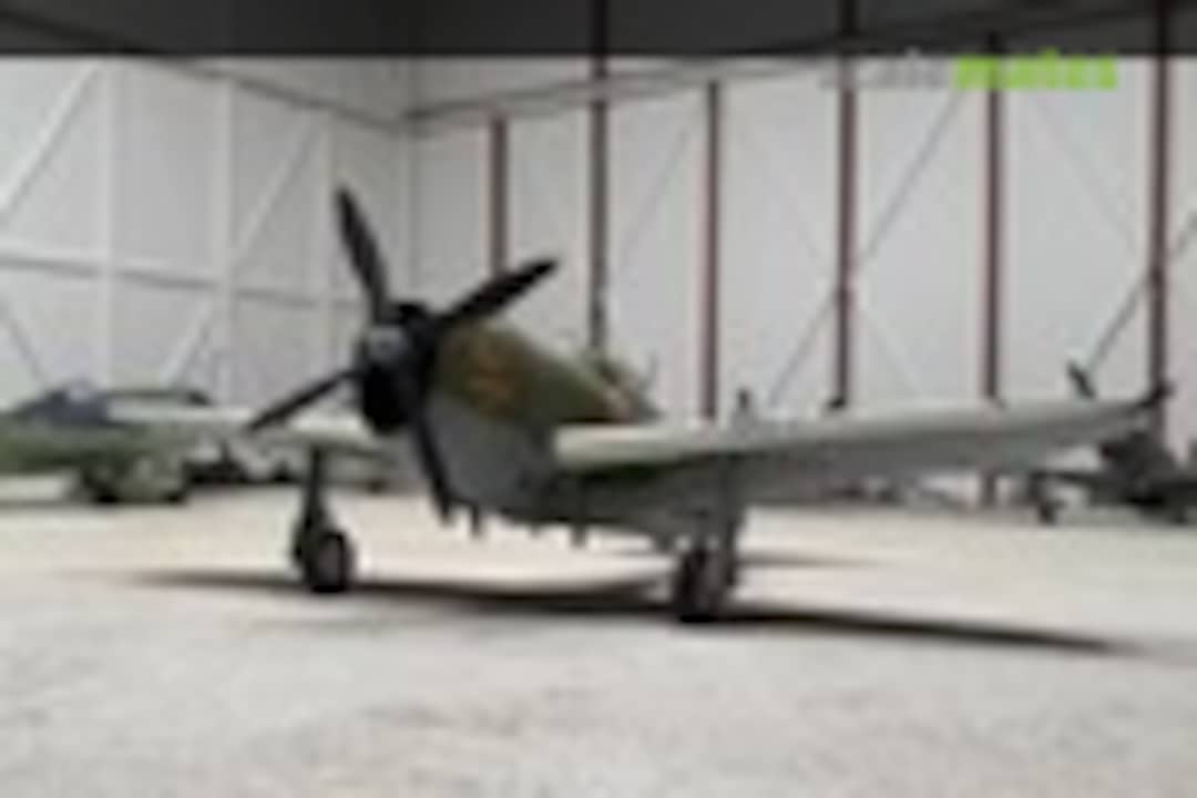P-47D Razorback 1:48