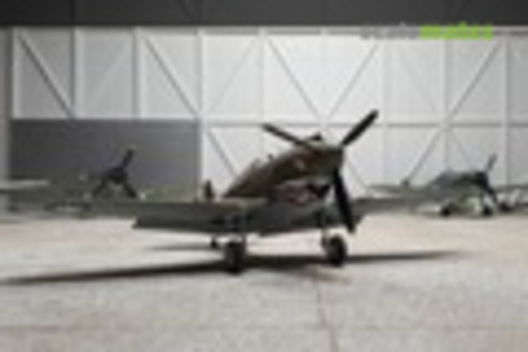 P-40C Tiger Shark of the Flying Tigers 1:48